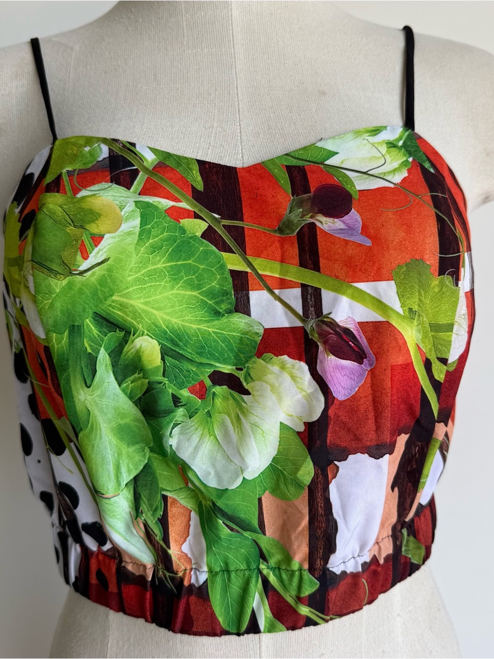 Clover Canyon Crop top small orange green floral sleeveless NWT